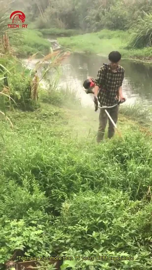 40.5cc China Brush Cutter Similar Makita Type Gasoline Trimmer Line Blade Brush Cutter Bc415